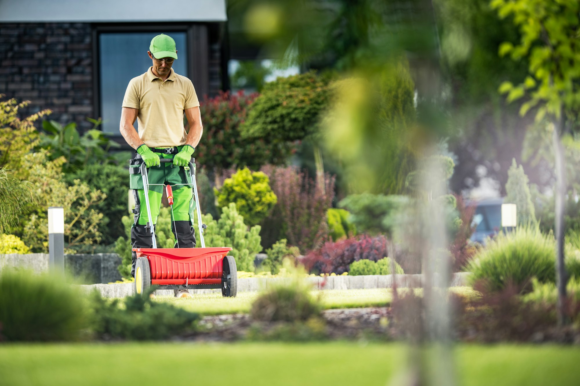 Landscaper Spreading Fertilizer on Lawn