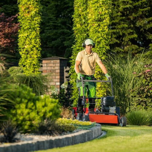 Garden Lawn Maintenance